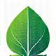 Green leaf icon for sustainable web design